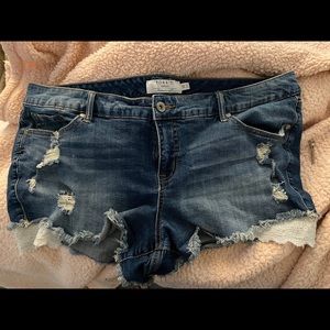 Torrid lace detail shorts